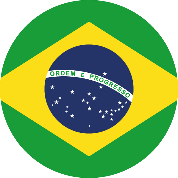 DAF-In-Action-Brasil-Flag-590x