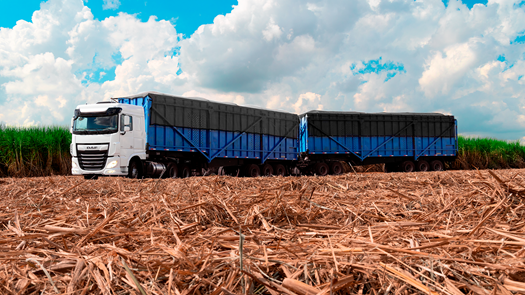 28-04-2023-DAF-XF-Off-Road-1920x-14